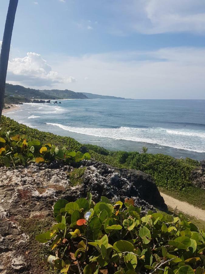 Breezy Apts Saint Philip Exteriör bild